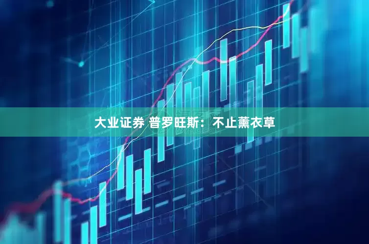大业证券 普罗旺斯：不止薰衣草