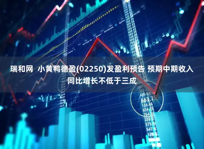 瑞和网  小黄鸭德盈(02250)发盈利预告 预期中期收入同比增长不低于三成