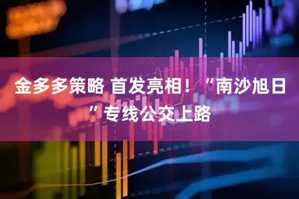 金多多策略 首发亮相！“南沙旭日”专线公交上路