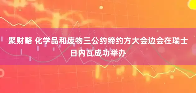 聚财略 化学品和废物三公约缔约方大会边会在瑞士日内瓦成功举办