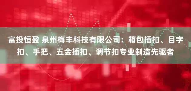 富投恒盈 泉州梅丰科技有限公司：箱包插扣、目字扣、手把、五金插扣、调节扣专业制造先驱者